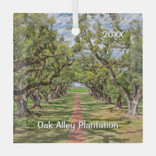 Ornement En Verre Plantation d'allée de chêne, Southern Live Oak Tre