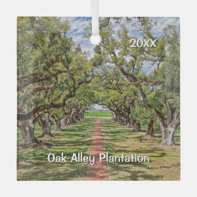 Ornement En Verre Plantation d'allée de chêne, Southern Live Oak Tre (Recto)