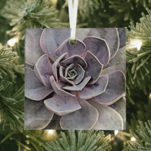 ORNEMENT EN VERRE PLANTE ECHEVERIA (SUCCULENT)