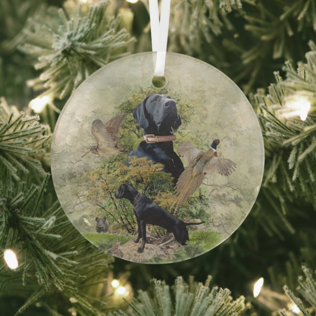 Ornement En Verre Pointeur à poils courts allemand (Insitu)