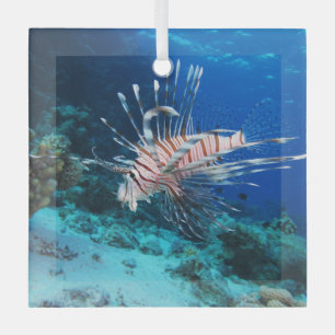 Ornement En Verre Poisson lion ou Pterois Miles, Poisson de récif oc