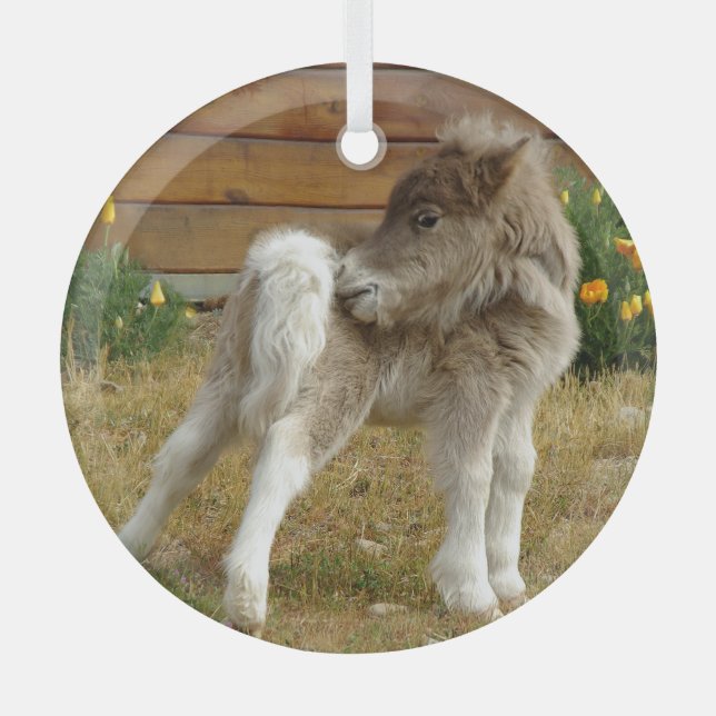 Ornement En Verre Pony (Recto)