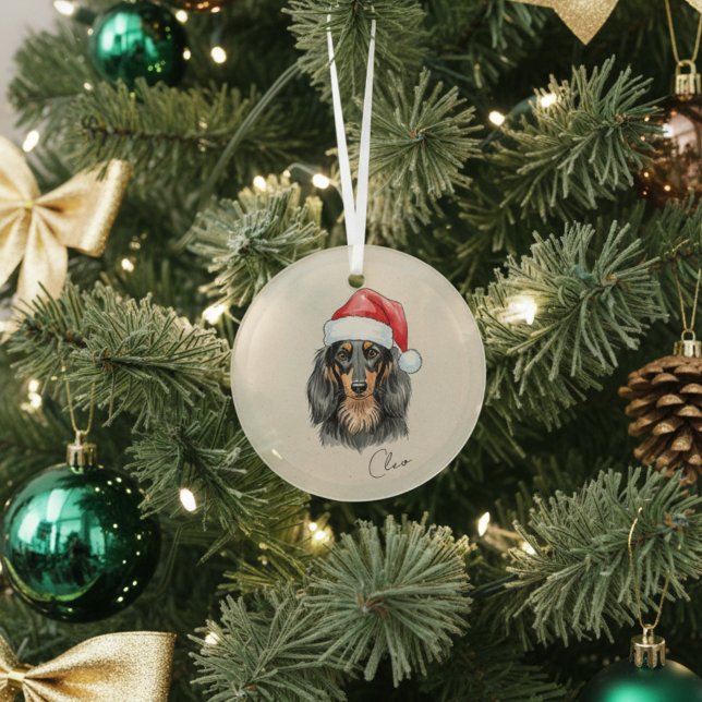 Ornement En Verre Portrait et nom personnalisés Dachshund (Add a special touch to your Christmas tree with this custom pet portrait ornament!)
