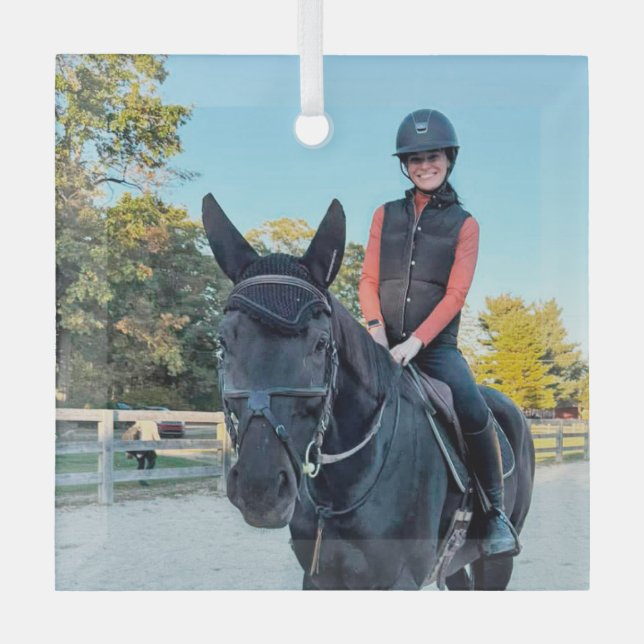 Ornement en verre pour cheval de commande spéciale (Recto)