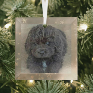 Ornement en verre pour chiot gris Carol B de comma