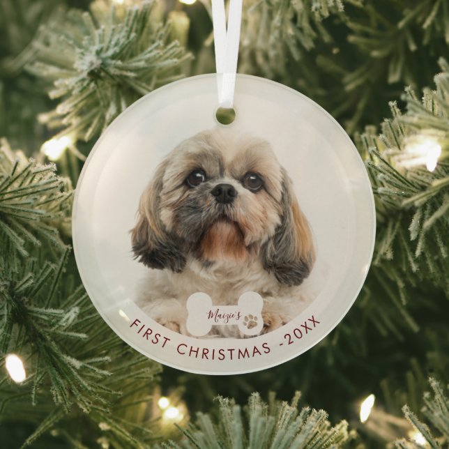 Ornement En Verre Premier Noël Chih Tzu Chien Chien Pet Photo (Insitu)