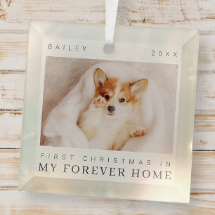 Ornement En Verre Premier Noël de l'animal de compagnie dans Forever