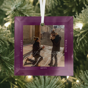 Ornement En Verre Premier Noël Engagé Photo Plum