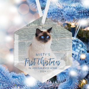 Ornement En Verre Premier Noël Maison pour Toujours Photo d'Animal d