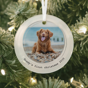 Ornement En Verre Premier Noël moderne personnalisé chien animal de