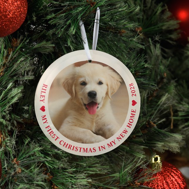 Ornement En Verre Premier Noël Nouveau Accueil Chien Chien de Chien  (Créateur téléchargé)