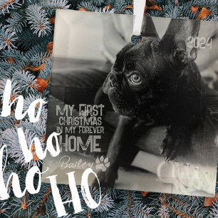 Ornement En Verre Premier Noël pour animal de compagnie pour toujour