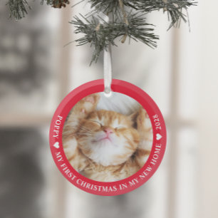 Ornement En Verre Première photo de chat de Noël Kitten
