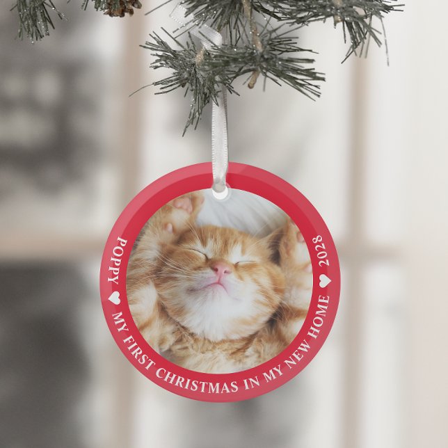 Ornement En Verre Première photo de chat de Noël Kitten (Créateur téléchargé)