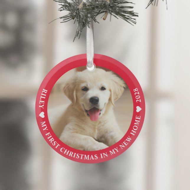 Ornement En Verre Première photo de chien chiot de Noël (Créateur téléchargé)