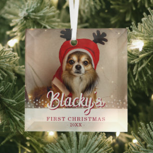 Ornement En Verre Première photo de chiot de Noël Étoiles blanches