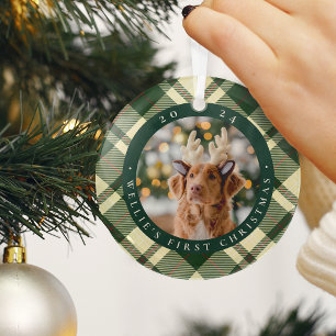 Ornement En Verre Première photo de Noël de l'animal domestique clas