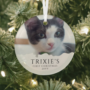 Ornement En Verre Première photo de Noël d'un chat pour animaux de c