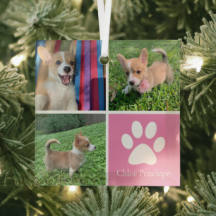 Ornement En Verre Pretty Pink Dog Collage Custom Pet Christmas Gift