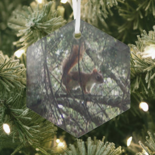 Ornement En Verre Red Squirrel Glass Hexagon Ornament