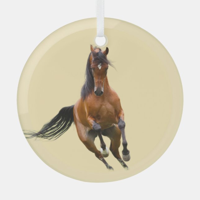 Ornement En Verre Ron Hevener (Recto)