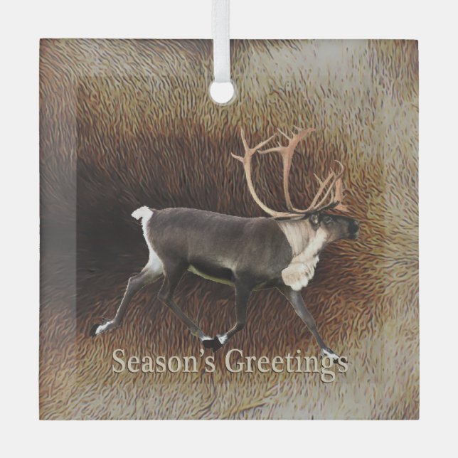 Ornement En Verre Salutation de saison - Bull Caribou (Reindeer) (Recto)
