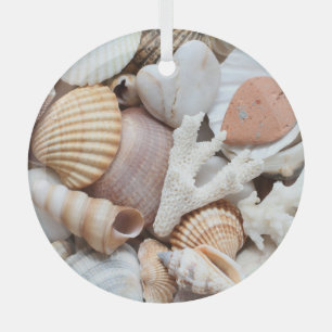 Ornement En Verre Sea Shells Stones Coral Arrière - plan