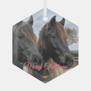Ornement En Verre Secourt Cheval AHT