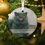 Ornement En Verre Simple Funny 'Define Naughty' Garde photo pour ani<br><div class="desc">Créez un ornement de Noël pour animal de compagnie amusant avec ce simple modèle moderne. Le design comprend une photo de votre chien/chat,  une bannière blanche avec le texte "DEFINE NAUGHTY" et le nom de l'animal.</div>
