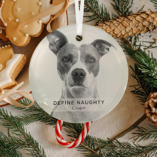 Ornement En Verre Simple Funny 'Define Naughty' Garde photo pour ani