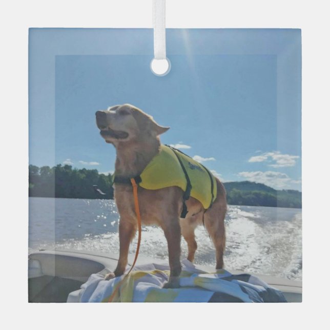 Ornement En Verre Special Order Carol B Golden Retriever  (Recto)