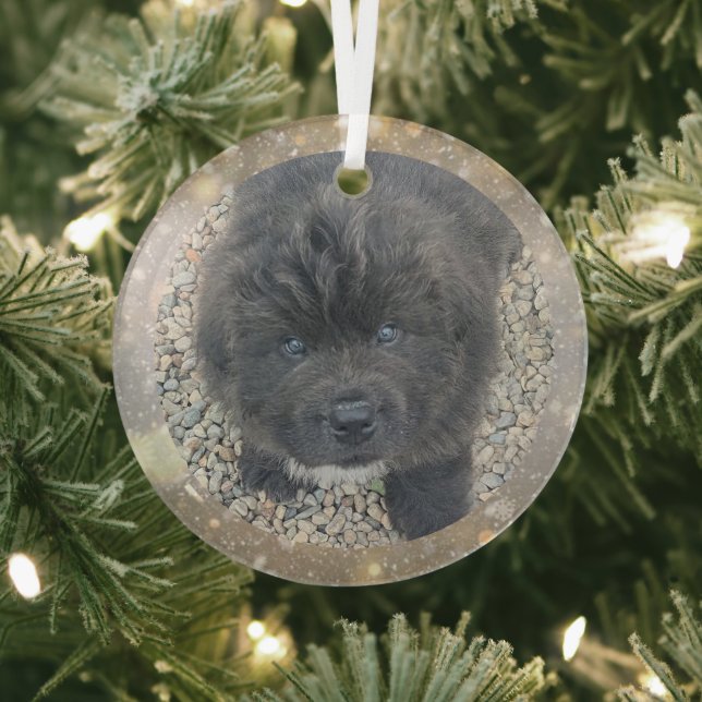 Ornement En Verre Special Order Gray Puppy Glass Ornament (Insitu)