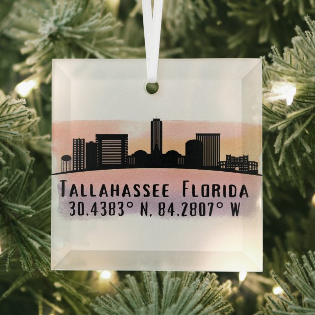 Ornement en verre Tallahassee FL City Skyline (Insitu)