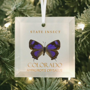 Ornement En Verre Territoire du Colorado Insecte Le papillon hairstr