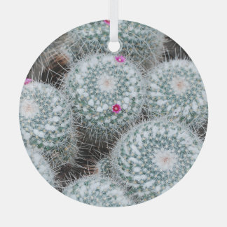 Ornement En Verre Tiny rose Fleurs Plantes Cactus