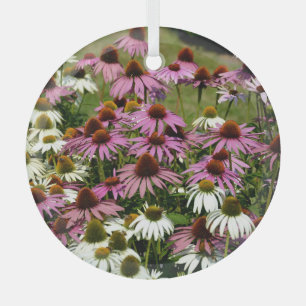 Ornement En Verre Utilisation des racines amérindiennes, utilisation