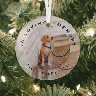 Ornement En Verre Verre de Noël pour chien de compagnie en souvenir