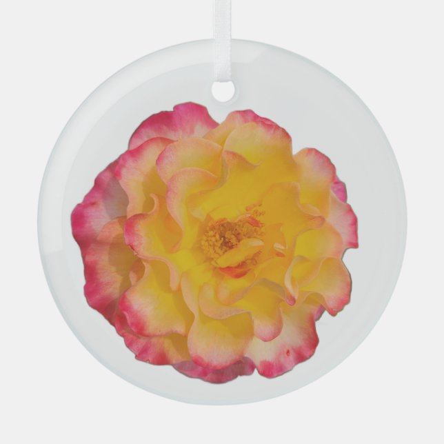 Ornement En Verre Vibrant Yellow and Pink Rose (Recto)