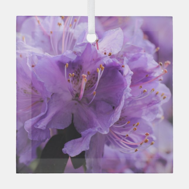 ORNEMENT EN VERRE VIOLET (Recto)