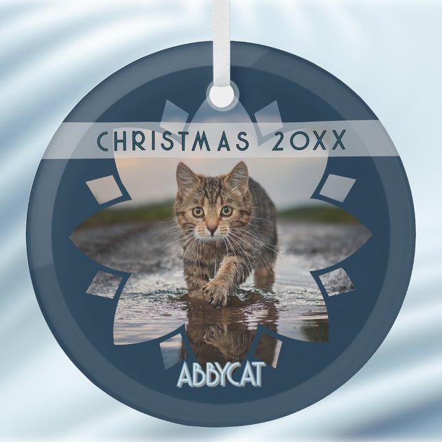 Ornement En Verre Wet Cat Photo Framed in Flower on Blue (Créateur téléchargé)