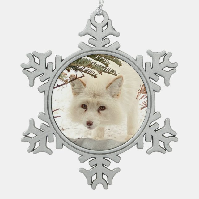 Ornement encadré flocon de neige Coconut Wild Paws (Devant)