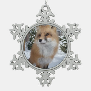 Ornement encadré flocon de neige Finneas Wild Paws