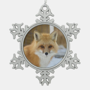 Ornement encadré flocon de neige Wild Paws Alfalfa