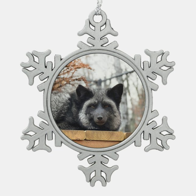 Ornement encadré flocon de neige Wild Paws Aurora (Devant)