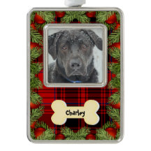 Os de chien rouge Noël Ajoutez votre nom et photo