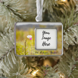 Ornement Encadrement Doré Parc national des volcans du Mont Kilauea Hawaii