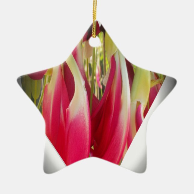 Ornement Étoile En Céramique Art du coeur floral (Devant)