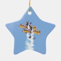 Avion Aérobie En Vol