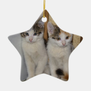 Ornement Étoile En Céramique Baby Cats