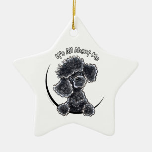 Ornement Étoile En Céramique Black Toy Poodle IAAM